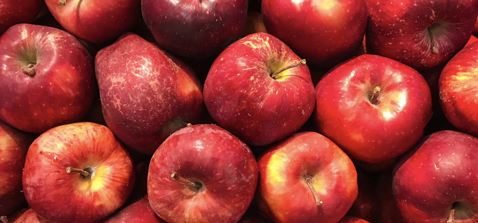 A basket full of apples 