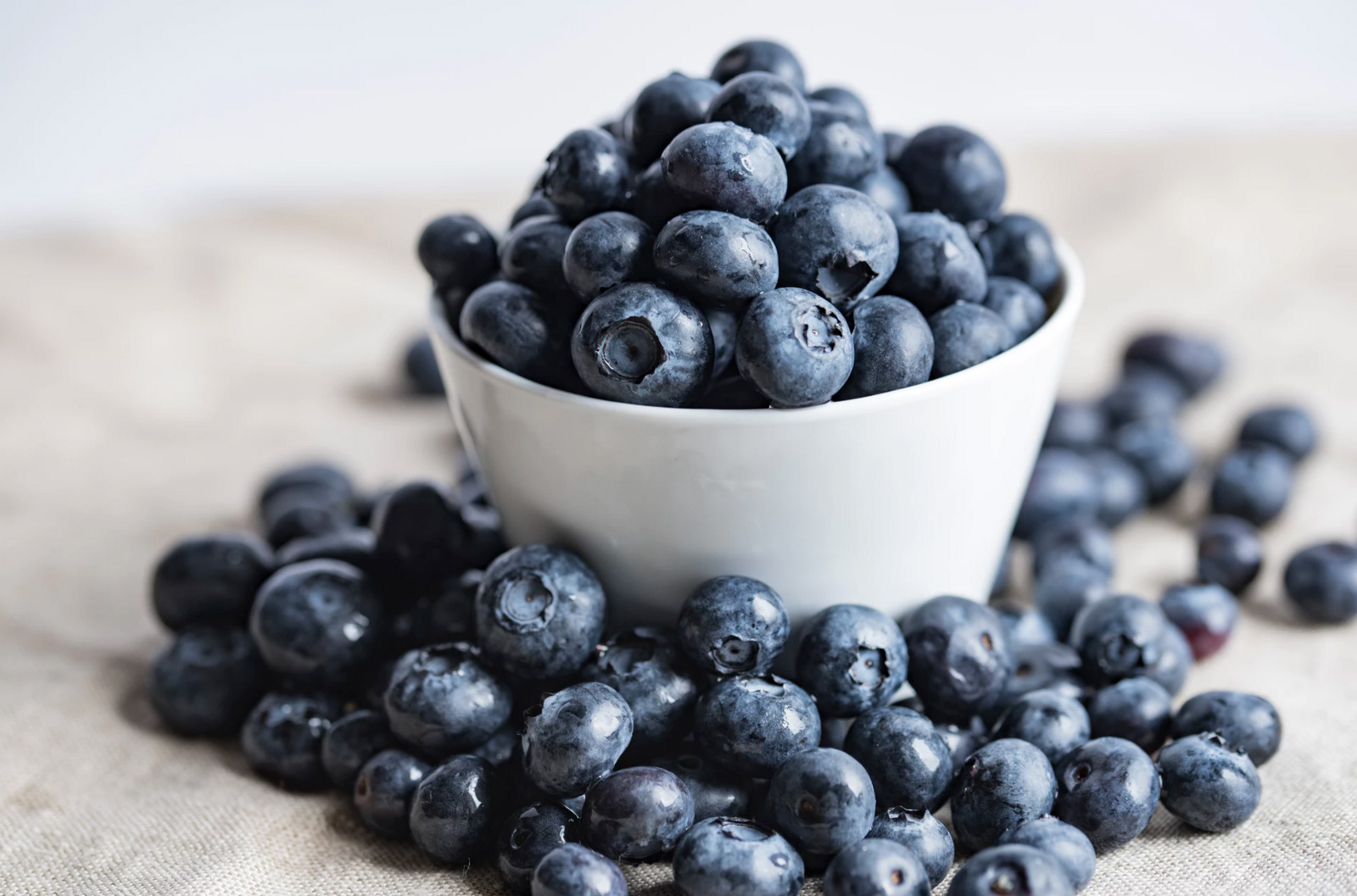 Blueberries - the Small but Mighty Fruit