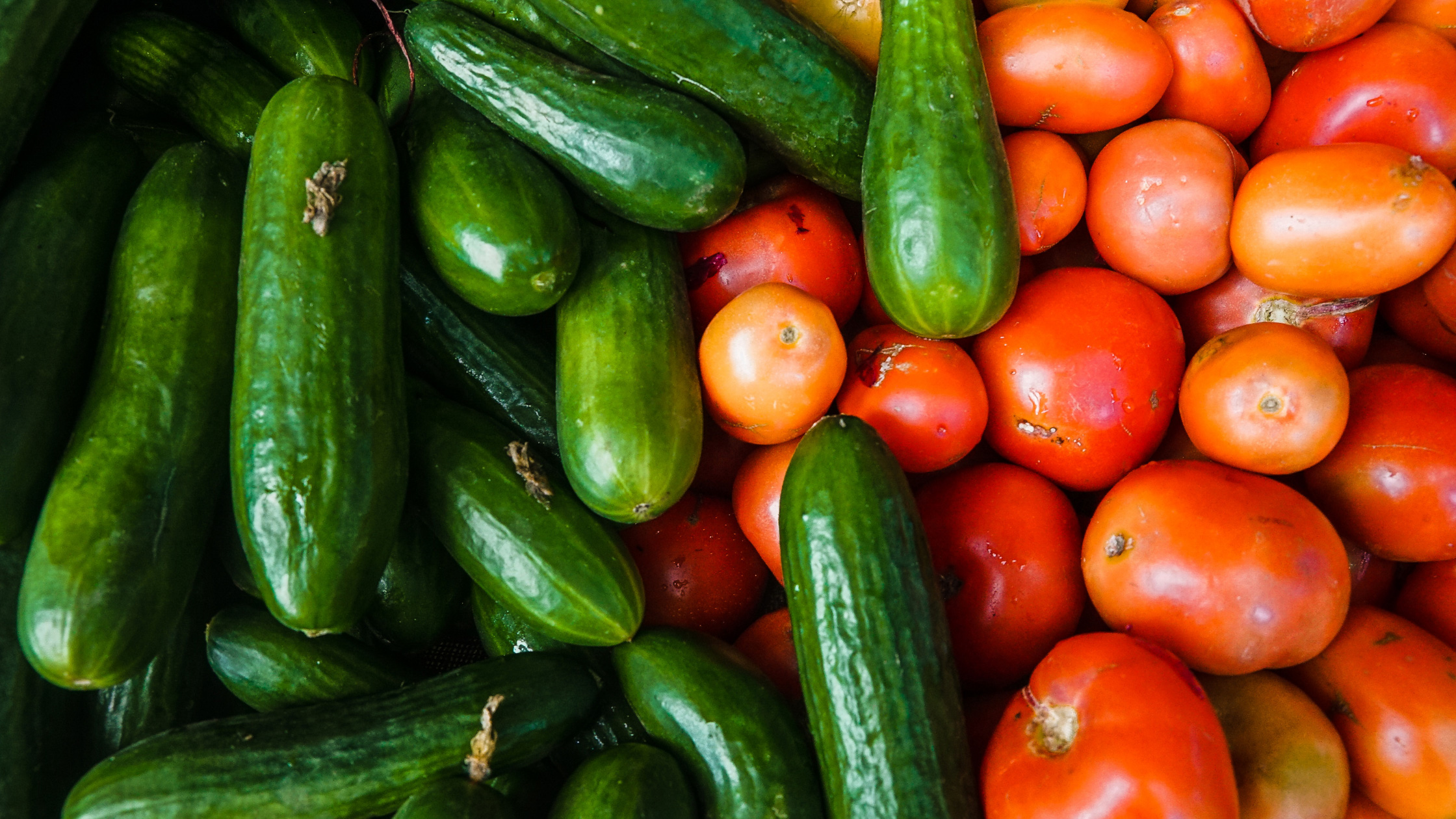 cucumbers and tomatoes 