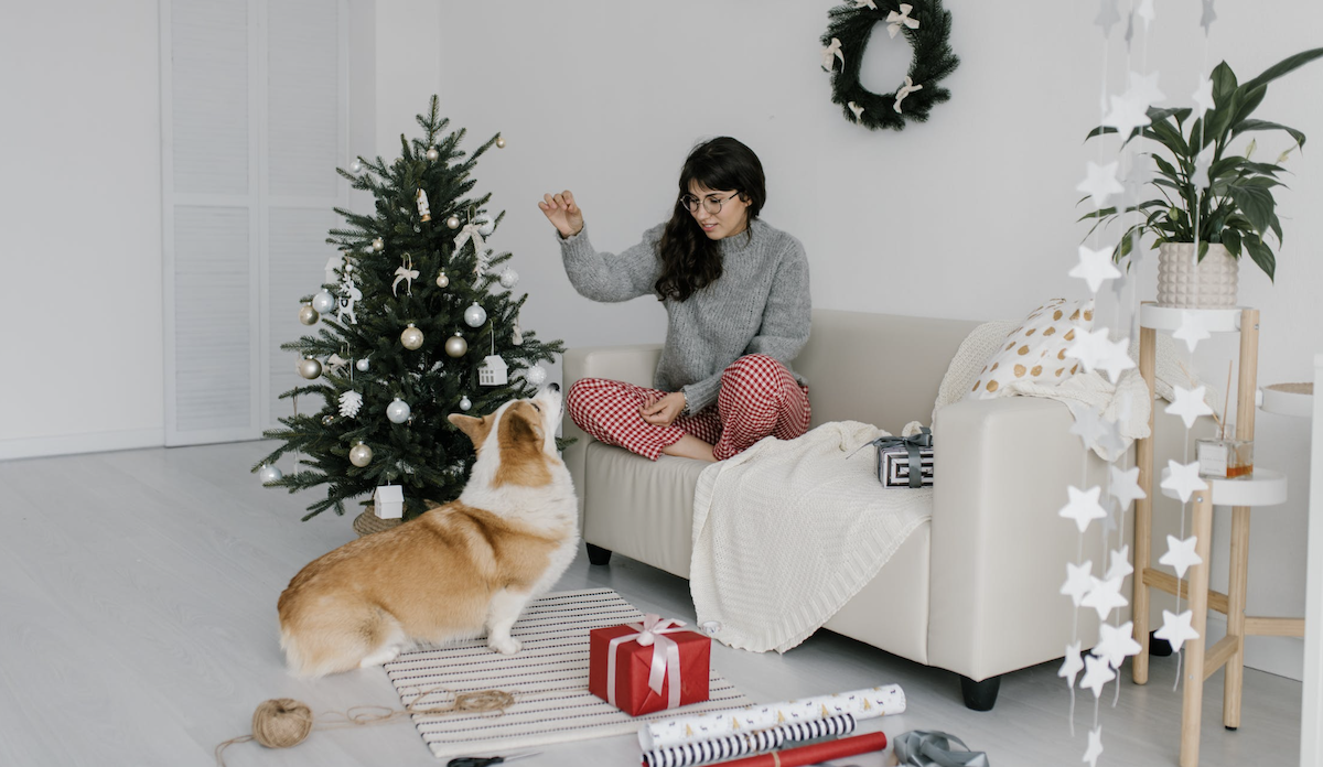 Woman playing with dog while wrapping presents. 