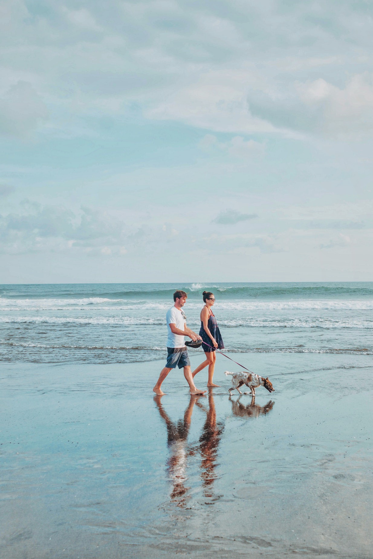 A man and a woman walking their dog on the beach in the water