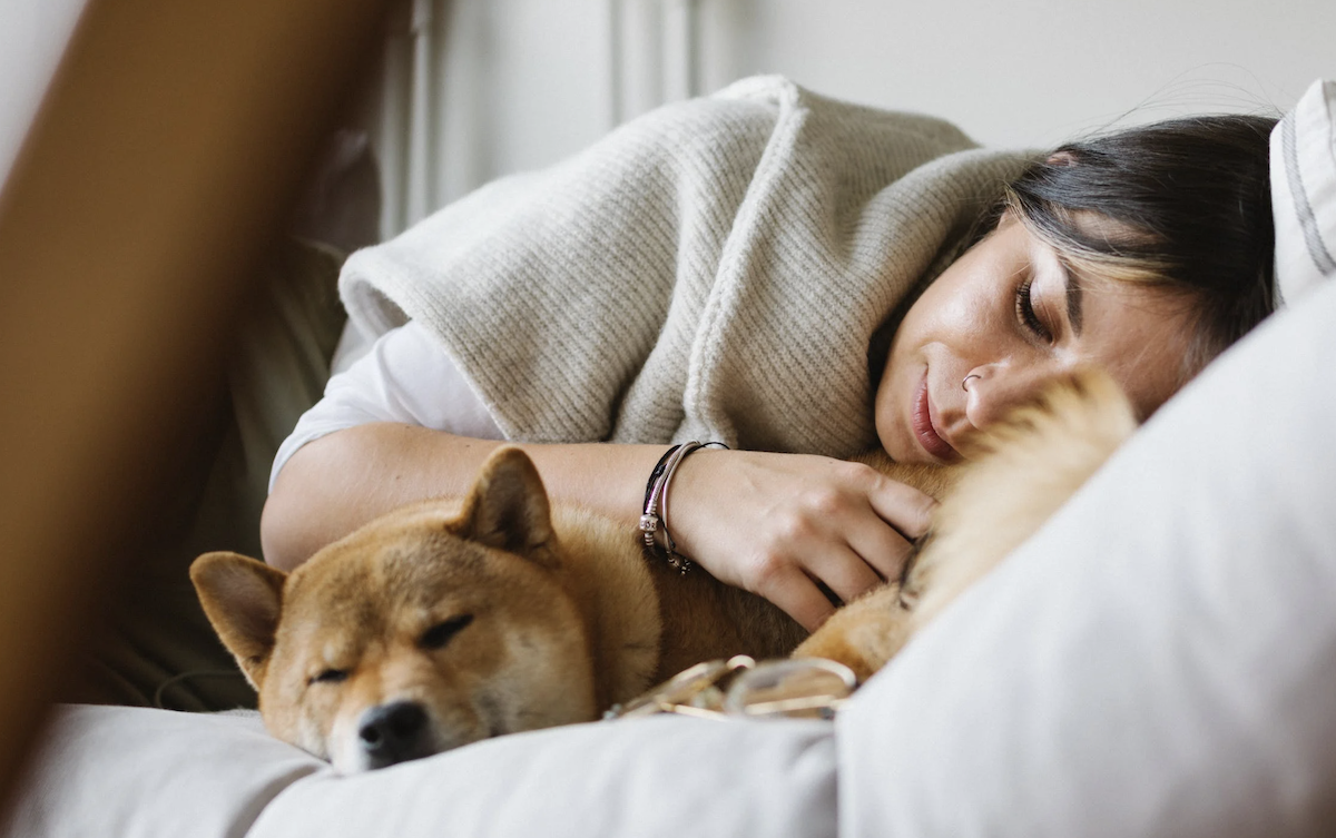 Woman sleeping on couch with dog