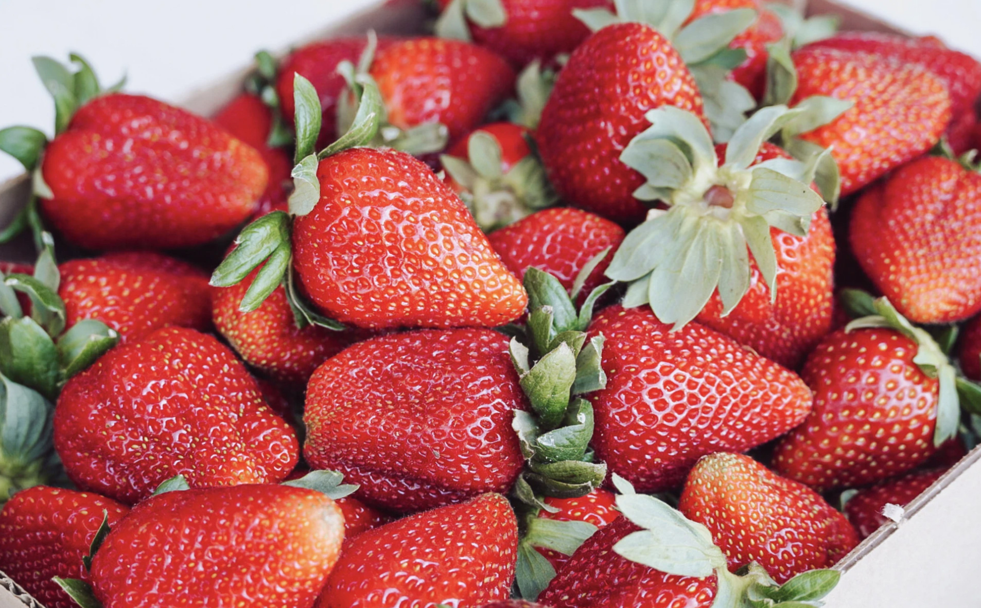 Fresh strawberries 